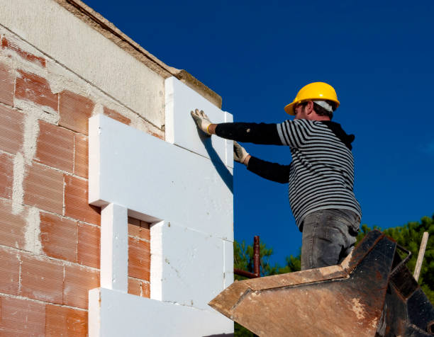 Insulation Repair Services in Du Quoin, IL