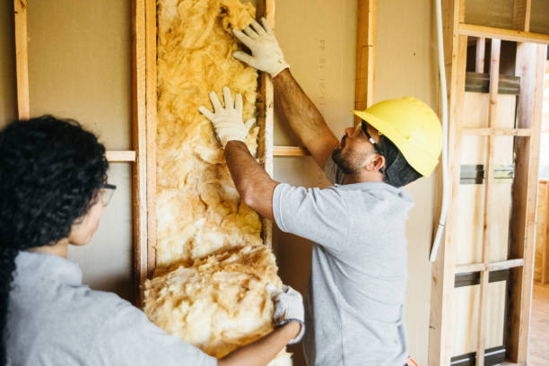 Insulation for New Construction in Du Quoin, IL