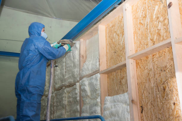 Insulation Inspection Services in Du Quoin, IL
