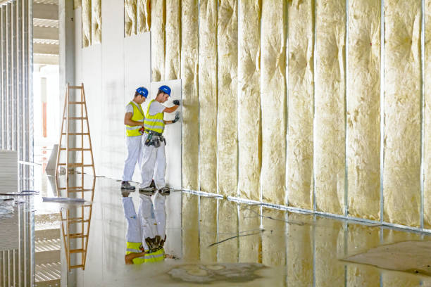 Range of Insulation Solutions in Du Quoin, IL